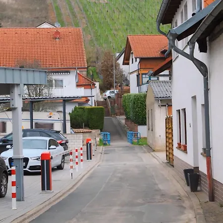 Traumhaftes 1-zimmer Roxheim